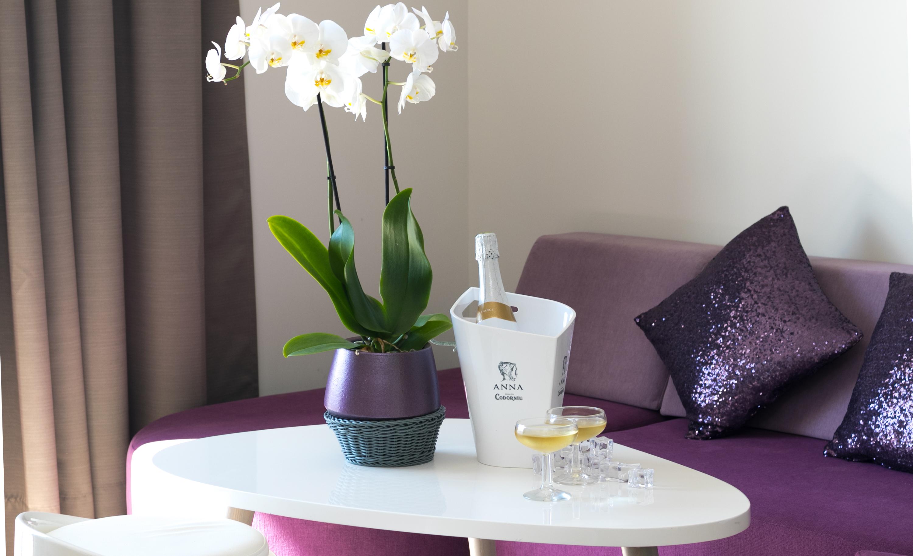The Purple Hotel - Adults Only Sant Antoni de Portmany Екстериор снимка